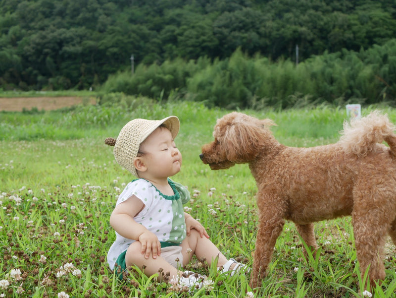 夏の子供服（緑）　ダブルガーゼのやさしい上衣